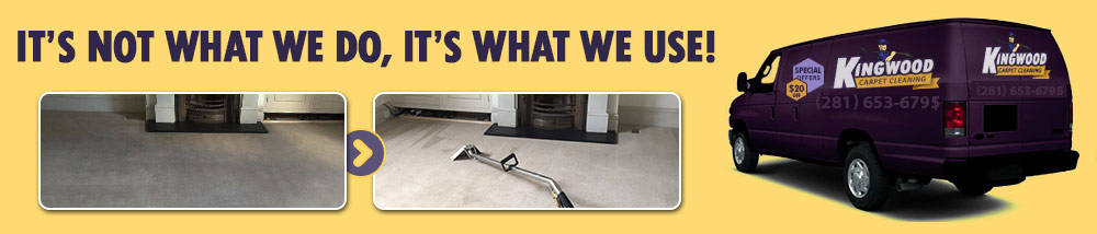 Professional Carpet Cleaning Services